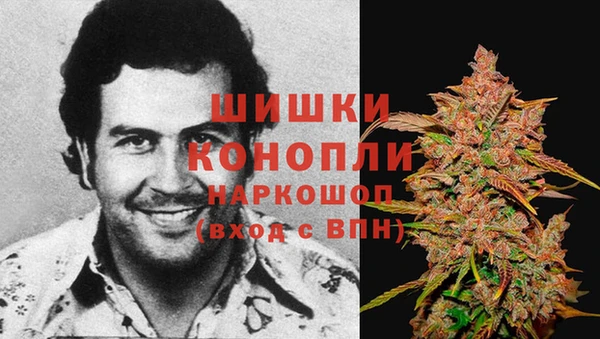 дживик Лабытнанги