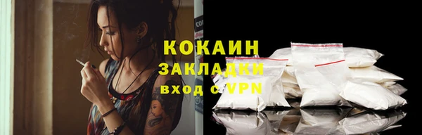 ПСИЛОЦИБИНОВЫЕ ГРИБЫ Осинники