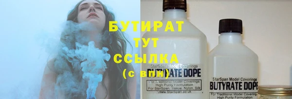 ПСИЛОЦИБИНОВЫЕ ГРИБЫ Осинники