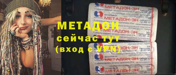 ПСИЛОЦИБИНОВЫЕ ГРИБЫ Осинники