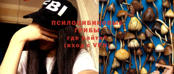 ПСИЛОЦИБИНОВЫЕ ГРИБЫ Осинники