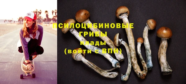 ПСИЛОЦИБИНОВЫЕ ГРИБЫ Осинники