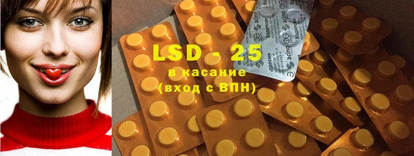 ПСИЛОЦИБИНОВЫЕ ГРИБЫ Осинники