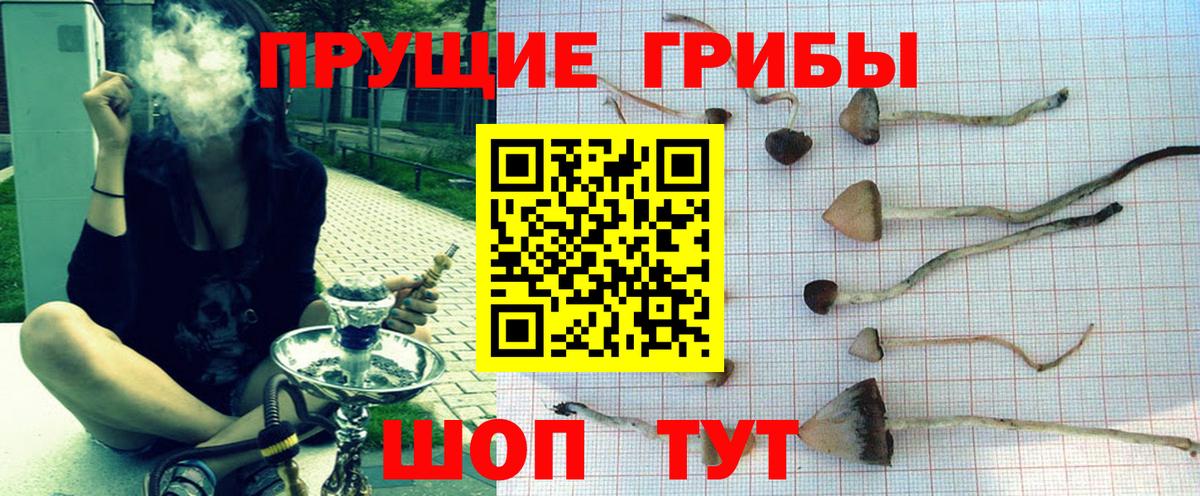 Галлюциногенные грибы мицелий Кондопога