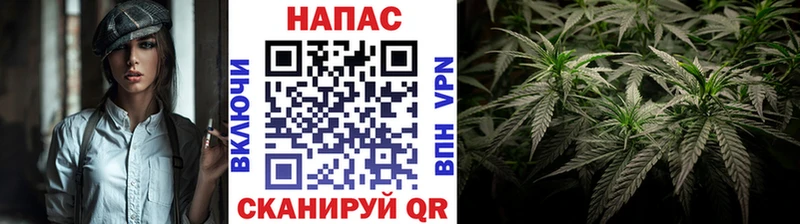 Бошки Шишки сатива Кондопога
